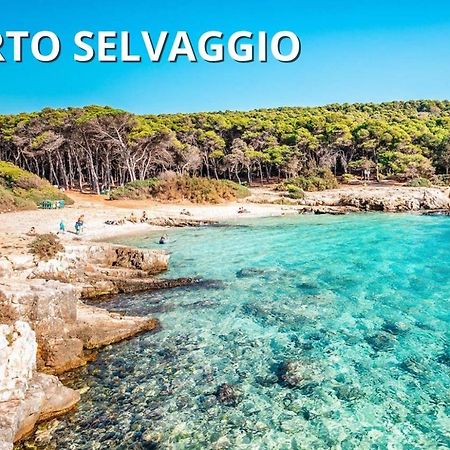 Casa Smeraldo Mare A Sud Di Porto Cesareo Torre Inserraglio Zewnętrze zdjęcie